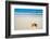 Caribbean Starfish over Sand Beach-Vitaliy Pakhnyushchyy-Framed Photographic Print