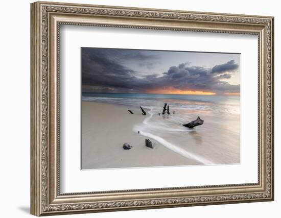 Caribbean Sunset Frames Tree Trunks on Ffryes Beach, Antigua, Antigua and Barbuda-Roberto Moiola-Framed Photographic Print