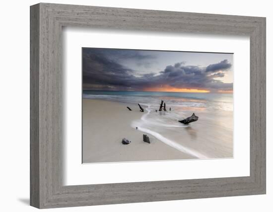 Caribbean Sunset Frames Tree Trunks on Ffryes Beach, Antigua, Antigua and Barbuda-Roberto Moiola-Framed Photographic Print