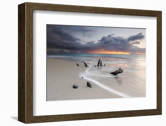 Caribbean Sunset Frames Tree Trunks on Ffryes Beach, Antigua, Antigua and Barbuda-Roberto Moiola-Framed Photographic Print