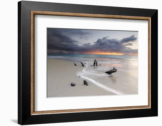 Caribbean Sunset Frames Tree Trunks on Ffryes Beach, Antigua, Antigua and Barbuda-Roberto Moiola-Framed Photographic Print