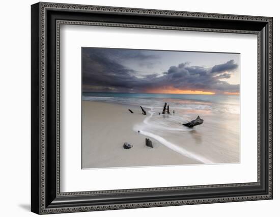 Caribbean Sunset Frames Tree Trunks on Ffryes Beach, Antigua, Antigua and Barbuda-Roberto Moiola-Framed Photographic Print