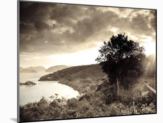 Caribbean, Us Virgin Islands, St; John, Virgin Islands National Park, Trunk Bay-Michele Falzone-Mounted Photographic Print