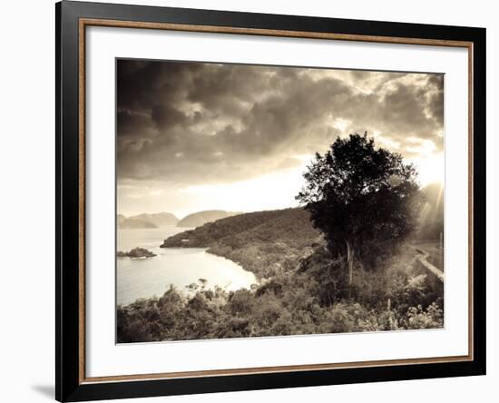 Caribbean, Us Virgin Islands, St; John, Virgin Islands National Park, Trunk Bay-Michele Falzone-Framed Photographic Print