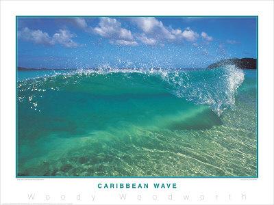 Caribbean Wave Framed Canvas Print by | Art.com