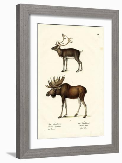 Caribou, 1824-Karl Joseph Brodtmann-Framed Giclee Print