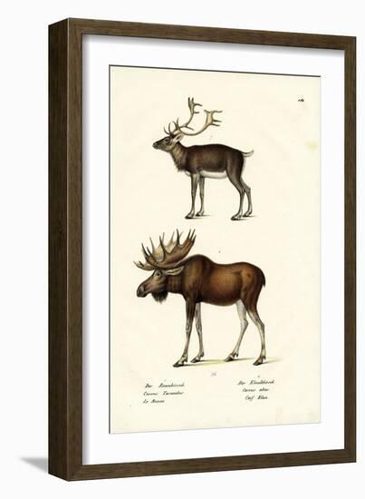 Caribou, 1824-Karl Joseph Brodtmann-Framed Giclee Print