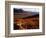 Caribou Antlers on the Tundra in Denali National Park, Denali National Park & Reserve, USA-Mark Newman-Framed Photographic Print