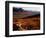 Caribou Antlers on the Tundra in Denali National Park, Denali National Park & Reserve, USA-Mark Newman-Framed Photographic Print