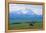 Caribou Below Mckinley-Paul Souders-Framed Premier Image Canvas