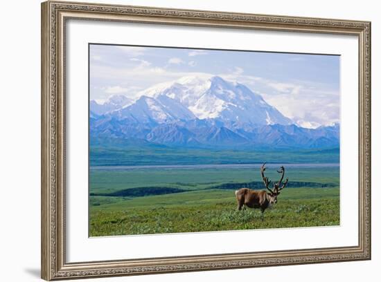 Caribou Below Mckinley-Paul Souders-Framed Photographic Print