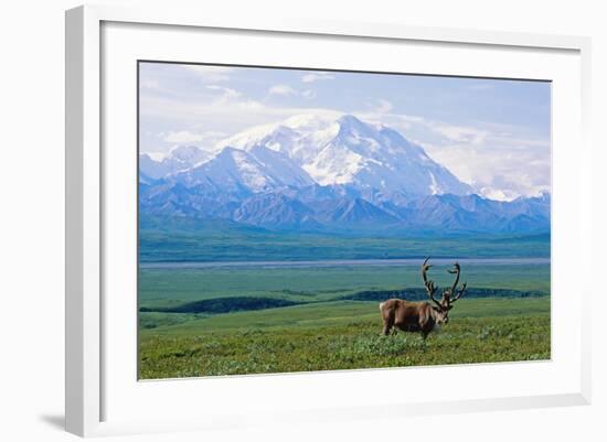 Caribou Below Mckinley-Paul Souders-Framed Photographic Print