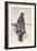 Caribou Eskimo Wearing Snow Glasses Made of Wood, Canada, 1921-24-Knud Rasmussen-Framed Photographic Print