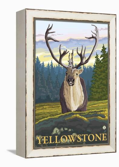 Caribou in the Wild, Yellowstone National Park-Lantern Press-Framed Stretched Canvas