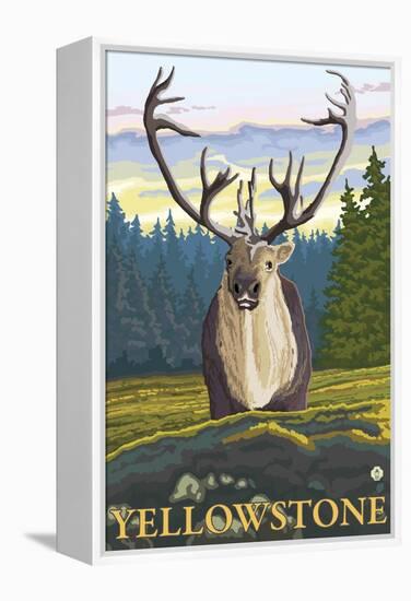 Caribou in the Wild, Yellowstone National Park-Lantern Press-Framed Stretched Canvas