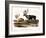 Caribou (Rangifer Caribou)-John Woodhouse Audubon-Framed Giclee Print