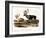 Caribou (Rangifer Caribou)-John Woodhouse Audubon-Framed Giclee Print