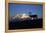 Caribou Wildlife, Mt McKinley, Denali National Park and Preserve, Alaska, USA-Hugh Rose-Framed Premier Image Canvas