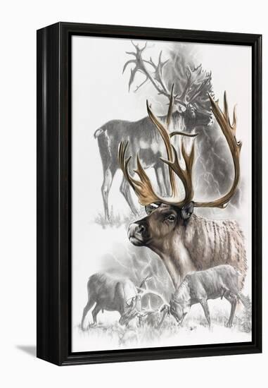 Caribou-Barbara Keith-Framed Premier Image Canvas