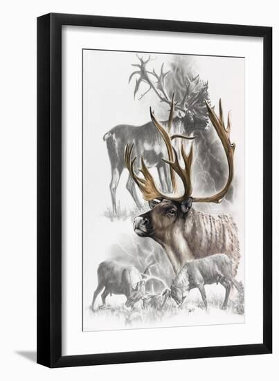 Caribou-Barbara Keith-Framed Giclee Print