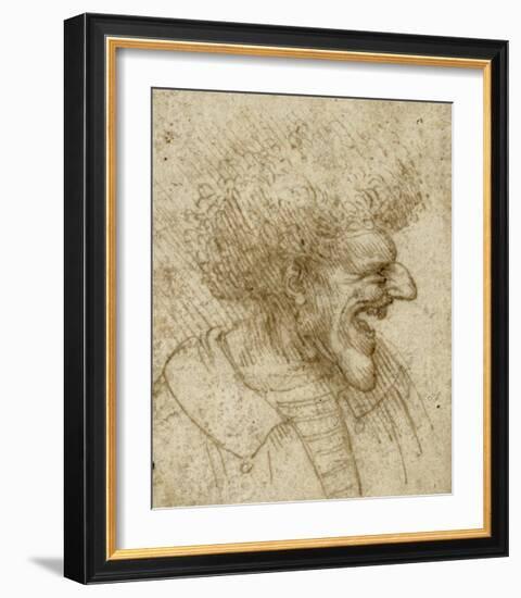 Caricature of a Man with Bushy Hair-Leonardo Da Vinci-Framed Art Print