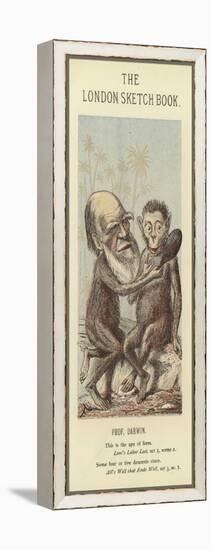 Caricature of Charles Darwin-null-Framed Premier Image Canvas