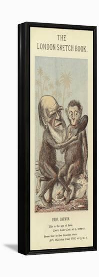 Caricature of Charles Darwin-null-Framed Premier Image Canvas