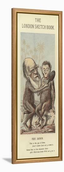 Caricature of Charles Darwin-null-Framed Premier Image Canvas