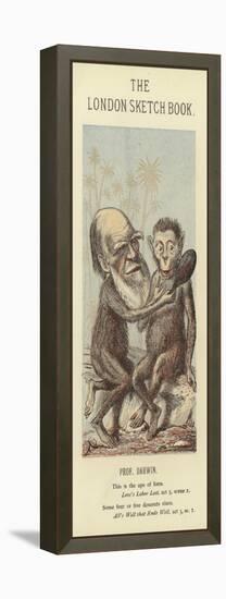 Caricature of Charles Darwin-null-Framed Premier Image Canvas