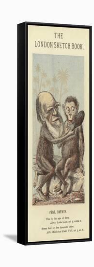 Caricature of Charles Darwin-null-Framed Premier Image Canvas