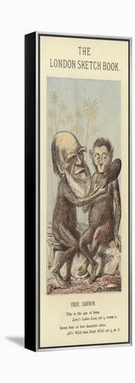 Caricature of Charles Darwin-null-Framed Premier Image Canvas