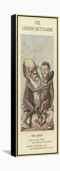 Caricature of Charles Darwin-null-Framed Premier Image Canvas