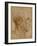 Caricature of the Head of an Old Man, in Profile to the Right, c.1507-Leonardo da Vinci-Framed Giclee Print