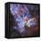 Carina Nebula, NGC 3372-Stocktrek Images-Framed Premier Image Canvas