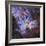 Carina Nebula, NGC 3372-Stocktrek Images-Framed Photographic Print