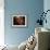 Carina Nebula-Stocktrek Images-Framed Photographic Print displayed on a wall