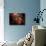 Carina Nebula-Stocktrek Images-Photographic Print displayed on a wall