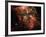 Carina Nebula-Stocktrek Images-Framed Photographic Print