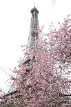 Paris in The Rain-Carina Okula-Photographic Print