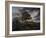 Carisbrooke Castle, Isle of Wight-Patrick Nasmyth-Framed Art Print