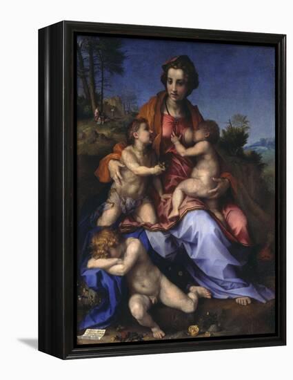 Caritas, 1518-19-Andrea del Sarto-Framed Premier Image Canvas