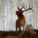 Moose-Carl Colburn-Stretched Canvas