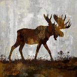 Moose-Carl Colburn-Stretched Canvas