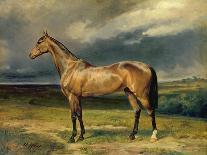 Abdul Medschid' the Chestnut Arab Horse, 1855-Carl Constantin Steffeck-Framed Premier Image Canvas