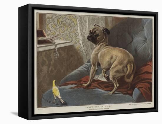 Stretched Canvas Print, , large