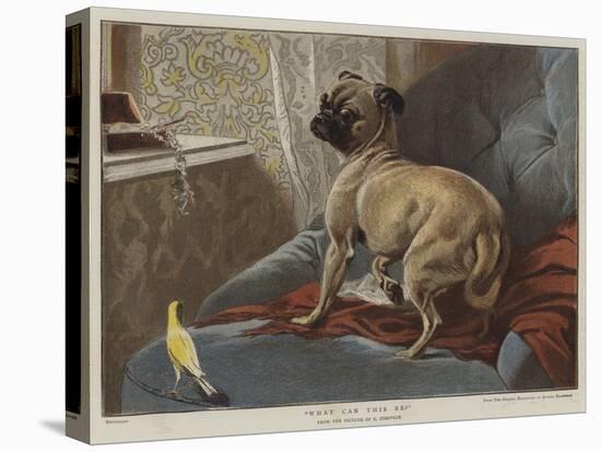 Stretched Canvas Print, , large