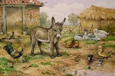 Donkey and Farmyard Fowl-Carl Donner-Giclee Print
