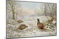 Premium Giclee Print