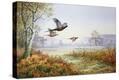 Stretched Canvas Print