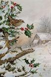 Wren in Hollybush by a cottage-Carl Donner-Giclee Print